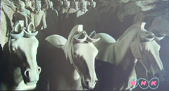 Terracotta Horses at Terracotta Warriors Museum